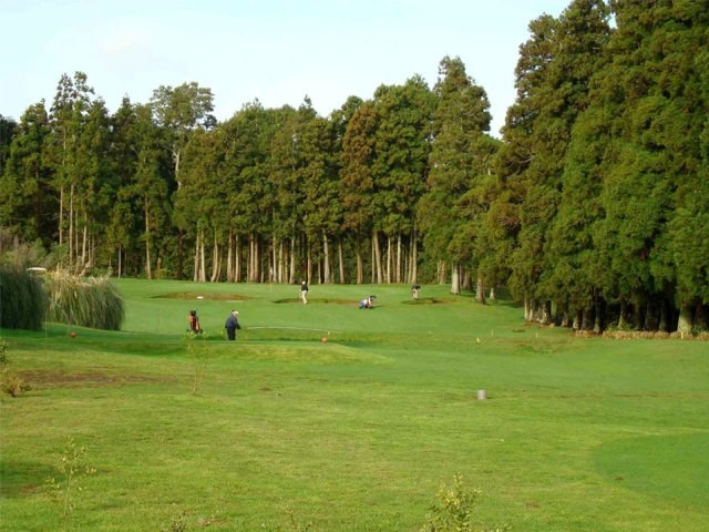 Golfe da Ilha Terceira Photo 0